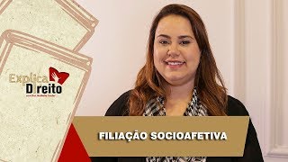 Explica Direito Filiação Socioafetiva  2019 [upl. by Schapira]